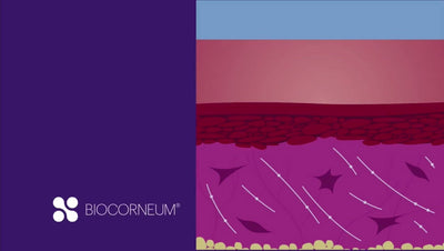 sientra biocornium advanced scar treatment with crosslinking silicone animation video